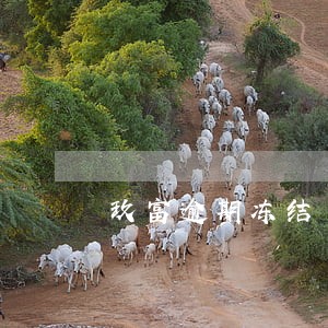 玖富逾期冻结 玖富逾期冻结