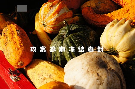玖富逾期冻结查封 玖富逾期冻结查封