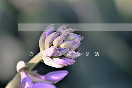 玖富逾期减免结清 玖富逾期减免结清