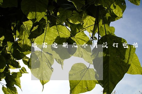 玖富逾期几个月没打电话 玖富逾期几个月没打电话