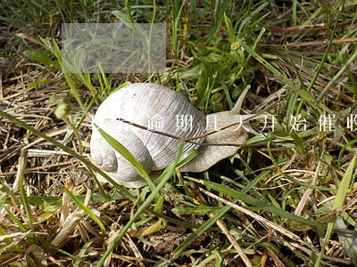 玖富逾期几天开始催收 玖富逾期几天开始催收