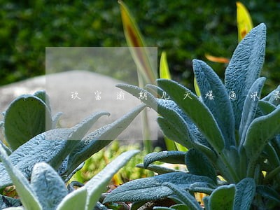 玖富逾期几天爆通讯录
