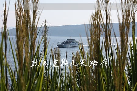 玖富逾期几天赔付