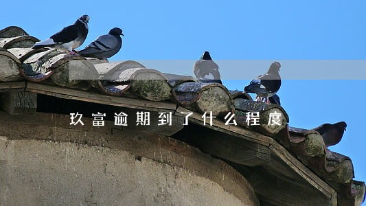 玖富逾期到了什么程度 玖富逾期到了什么程度