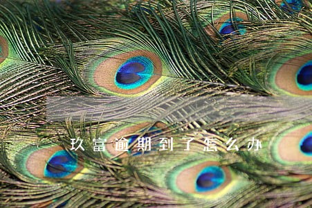 玖富逾期到了怎么办 玖富逾期到了怎么办