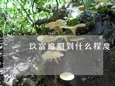 玖富逾期到什么程度 玖富逾期到什么程度