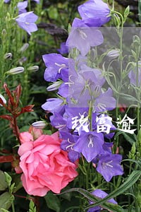 玖富逾期半年什么后果 玖富逾期半年什么后果