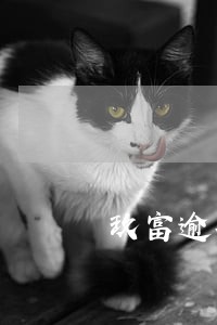 玖富逾期半年被仲裁 玖富逾期半年被仲裁