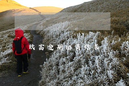 玖富逾期协商结果