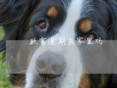 玖富逾期去家里吗 玖富逾期去家里吗