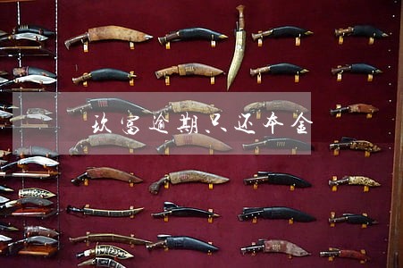 玖富逾期只还本金