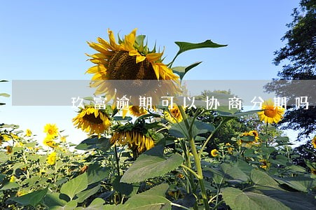 玖富逾期可以协商分期吗 玖富逾期可以协商分期吗