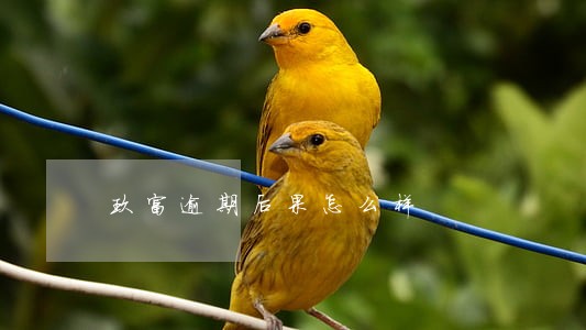玖富逾期后果怎么样 玖富逾期后果怎么样