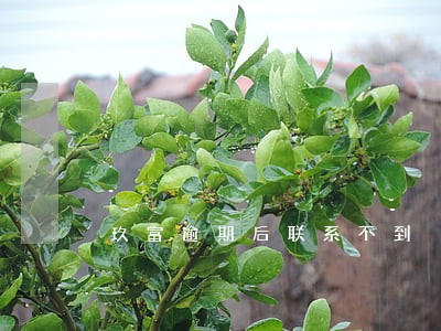 玖富逾期后联系不到 玖富逾期后联系不到