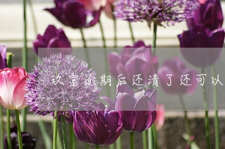玖富逾期后还清了还可以用吗 玖富逾期后还清了还可以用吗