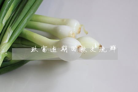 玖富逾期回款交流群 玖富逾期回款交流群