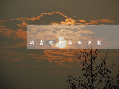 玖富逾期处理方案 玖富逾期处理方案