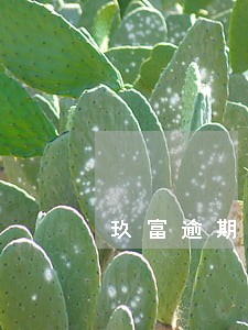 玖富逾期多久会上征信6 玖富逾期多久会上征信6