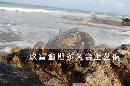 玖富逾期多久会上芝麻 玖富逾期多久会上芝麻