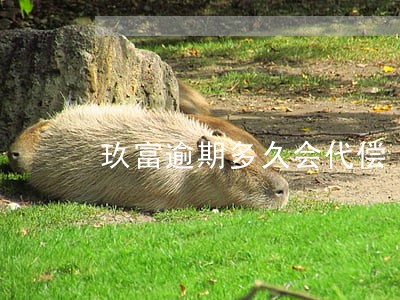 玖富逾期多久会代偿