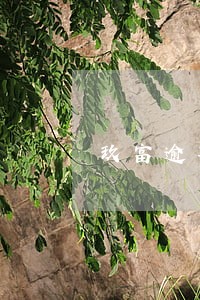 玖富逾期多久垫付 玖富逾期多久垫付