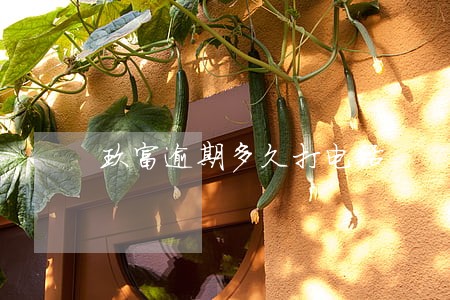 玖富逾期多久打电话 玖富逾期多久打电话