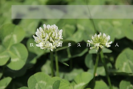 玖富逾期多久打联系人 玖富逾期多久打联系人