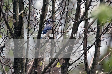 玖富逾期多久联系 玖富逾期多久联系