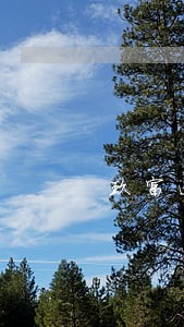 玖富逾期多久要收违约金 玖富逾期多久要收违约金