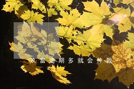 玖富逾期多就会仲裁 玖富逾期多就会仲裁