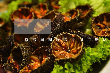 玖富逾期好久还没打电话 玖富逾期好久还没打电话