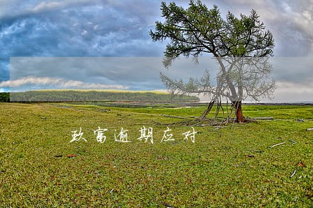 玖富逾期应对 玖富逾期应对