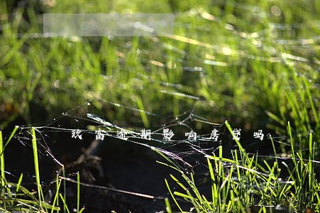 玖富逾期影响房贷吗 玖富逾期影响房贷吗