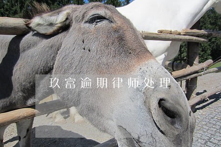 玖富逾期律师处理 玖富逾期律师处理
