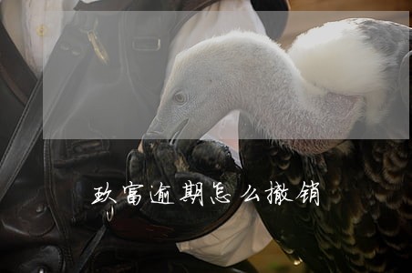 玖富逾期怎么撤销 玖富逾期怎么撤销