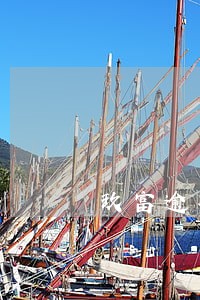 玖富逾期怎么查