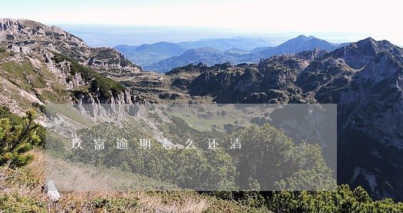 玖富逾期怎么还清 玖富逾期怎么还清