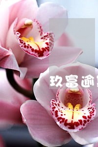 玖富逾期成了死账 玖富逾期成了死账
