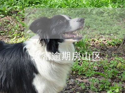 玖富逾期房山区 玖富逾期房山区