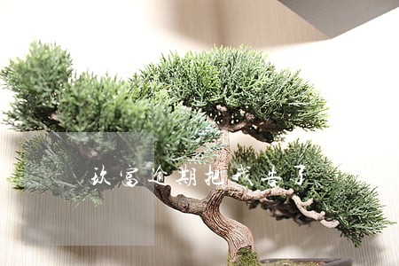玖富逾期把我告了 玖富逾期把我告了