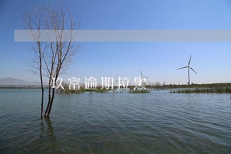 玖富逾期拉黑 玖富逾期拉黑