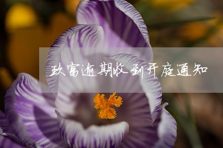 玖富逾期收到开庭通知 玖富逾期收到开庭通知