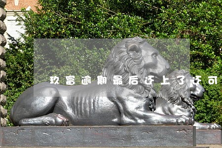 玖富逾期最后还上了还可以再贷吗 玖富逾期最后还上了还可以再贷吗