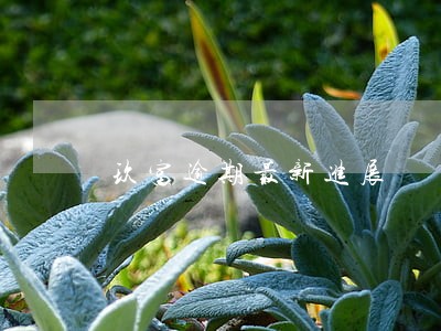 玖富逾期最新进展 玖富逾期最新进展