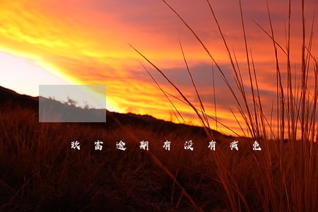 玖富逾期有没有减免 玖富逾期有没有减免