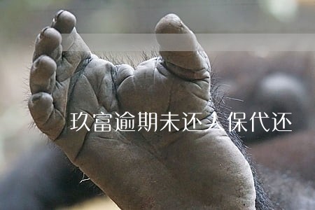 玖富逾期未还人保代还 玖富逾期未还人保代还