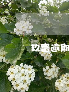 玖富逾期来消息 玖富逾期来消息