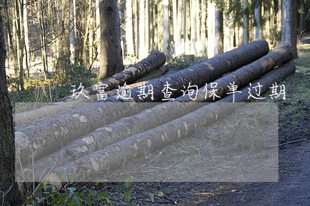 玖富逾期查询保单过期 玖富逾期查询保单过期