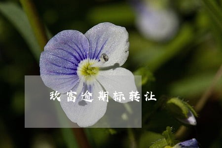 玖富逾期标转让 玖富逾期标转让