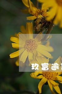 玖富逾期没在征信上以前好像有